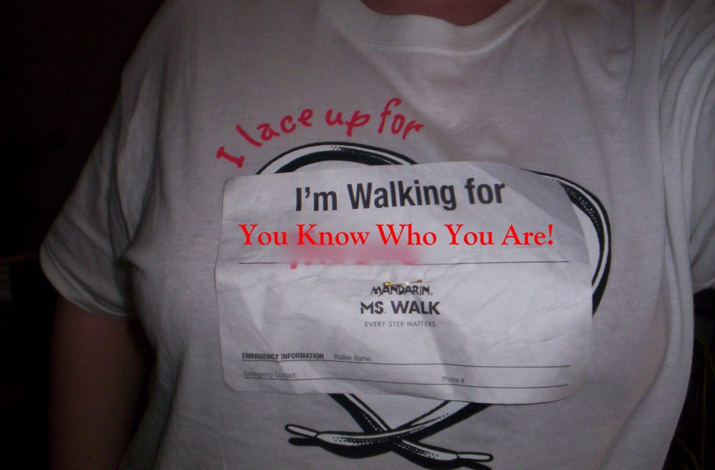 MS Walk Shirt
