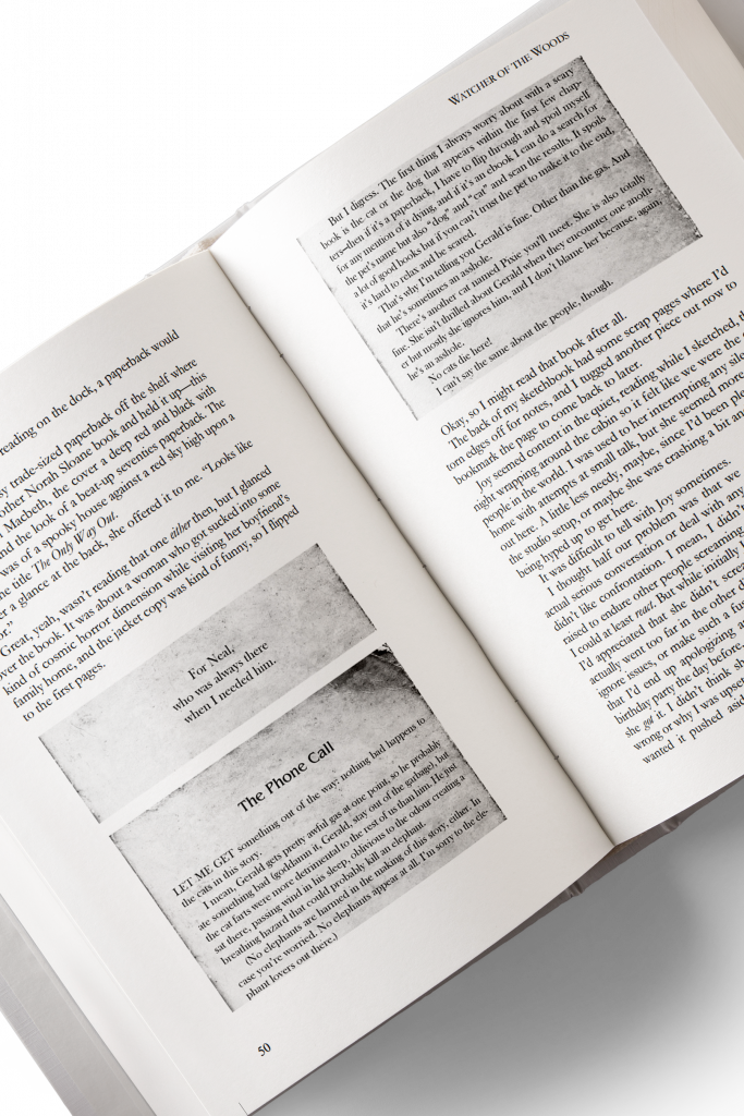 A 3D mockup of an open book showing excerpts of a book-within-the-book right on the battered-looking pages.